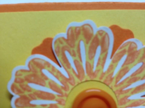 20120520-200800.jpg