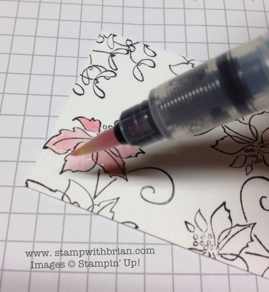 stampwithbrian.com - water color technique.jpg