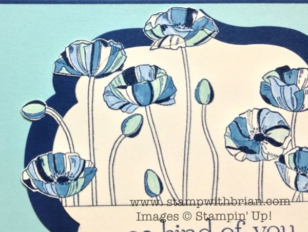 www.stampwithbrian.com - Modern Poppies