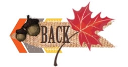 2013novhop_back 2013novhop_back