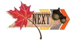 2013novhop_next 2013novhop_next