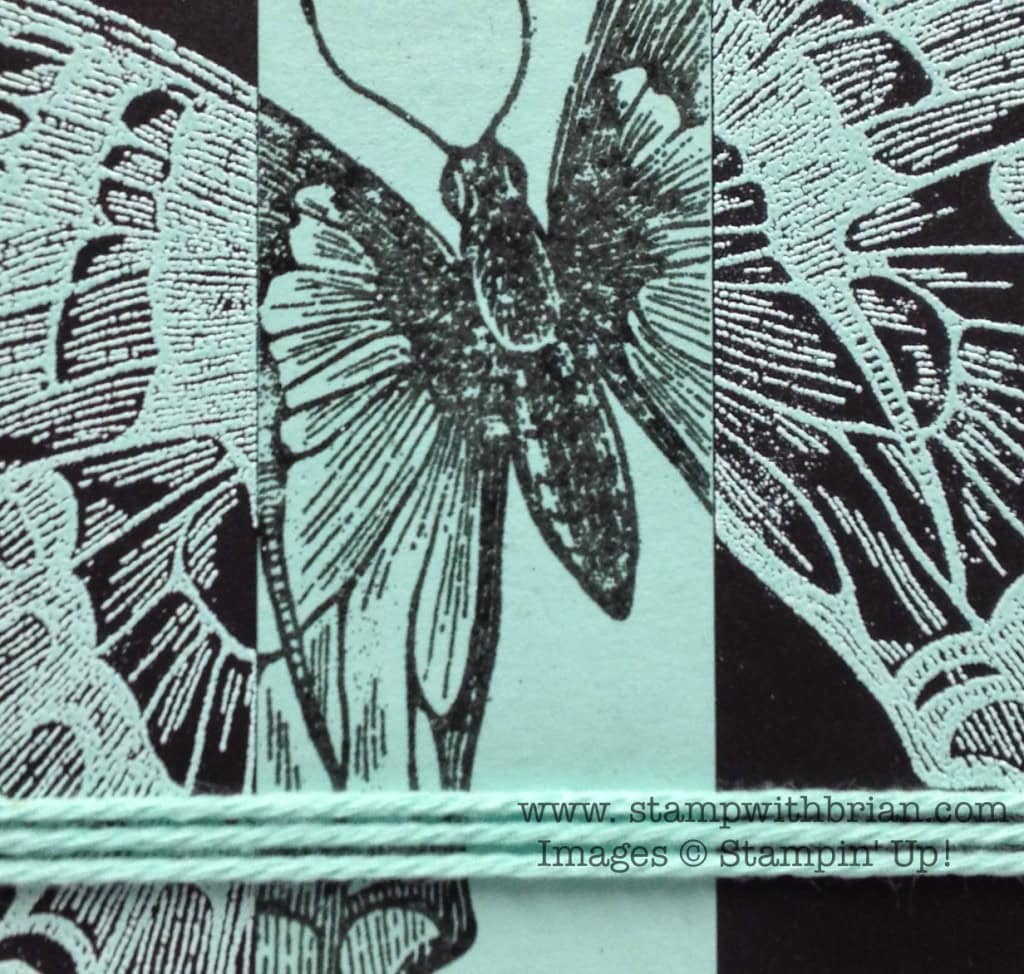 Swallowtail, Banner Greetings, Stampin' Up!, Brian King, FMS124
