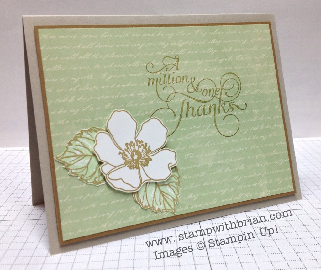 Fabulous Florets, Gently Falling, Million & One, Stampin' Up!, Brian King, FabFri38