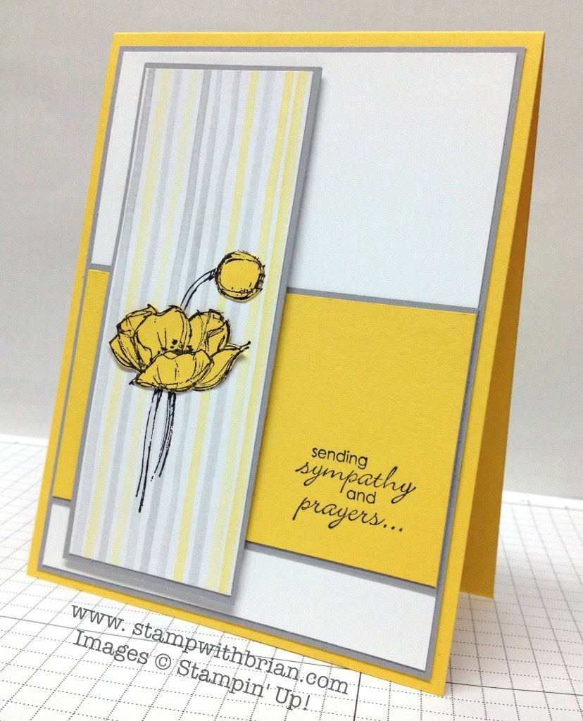 Simply Sketched (Hostess), Petite Pairs, Stampin' Up!, Brian King, FMS131