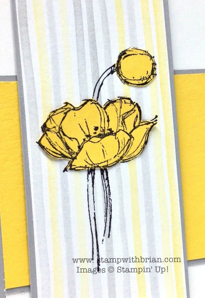 Simply Sketched, Stampin' Up!, Brian King