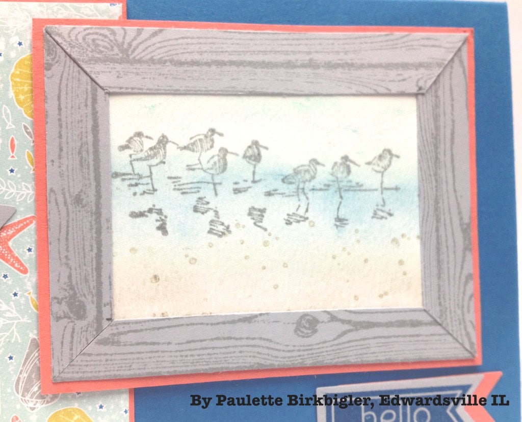 By Paulette Birkbigler, stampwithbrian.com