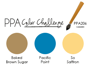 PPA206