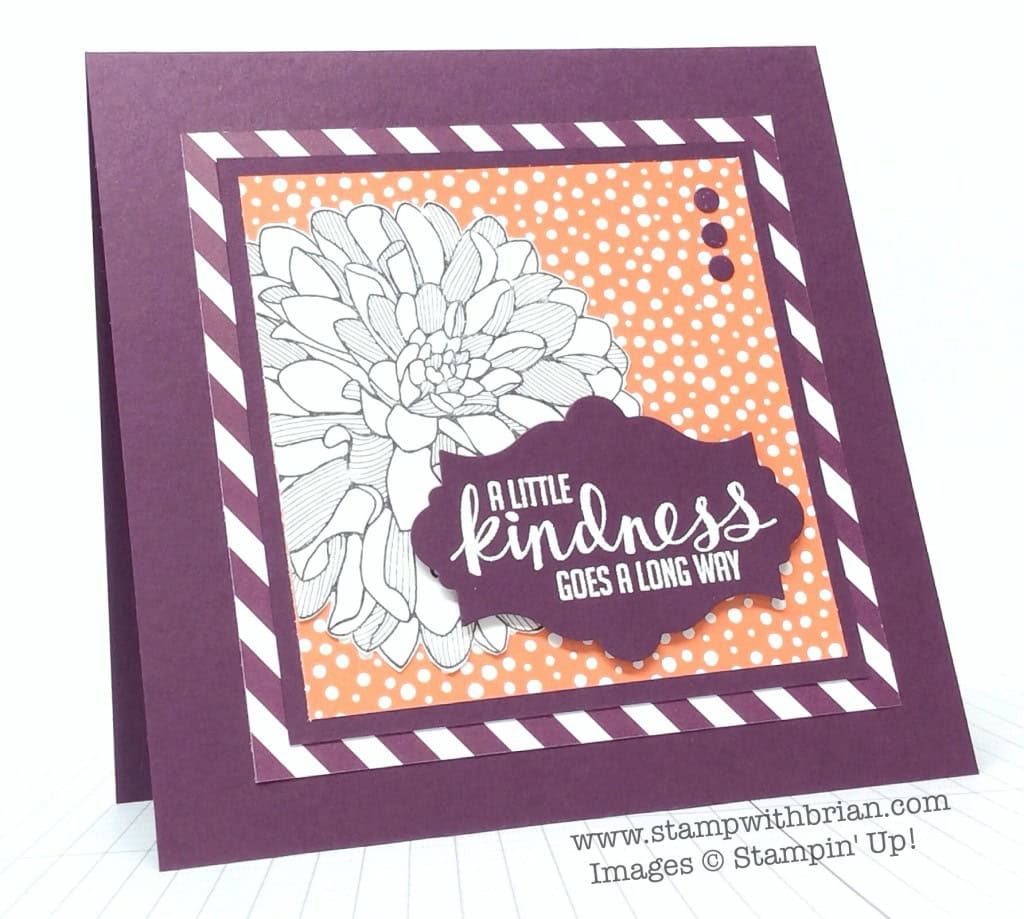Regarding Dahlias, Kinda Eclectic, Stampin' Up!, Brian King, FabFri52