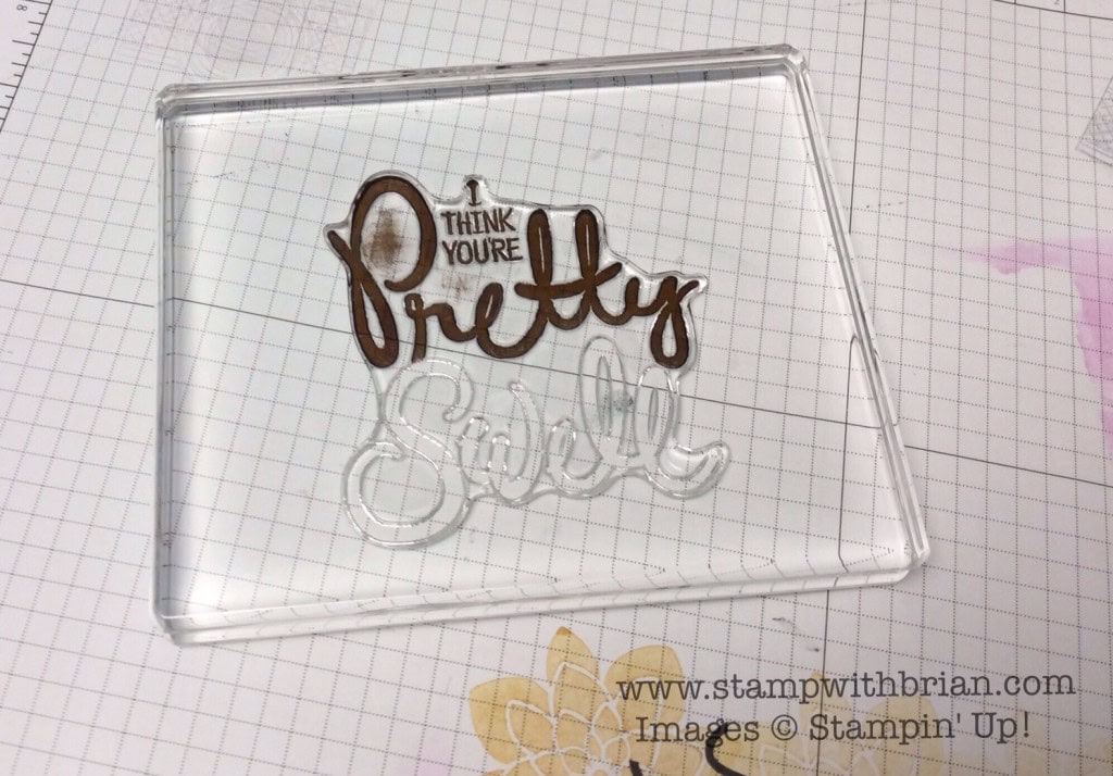 Big on You, Something to Say, Sheer Perfection Designer Vellum, Stampin' Up!, Brian King