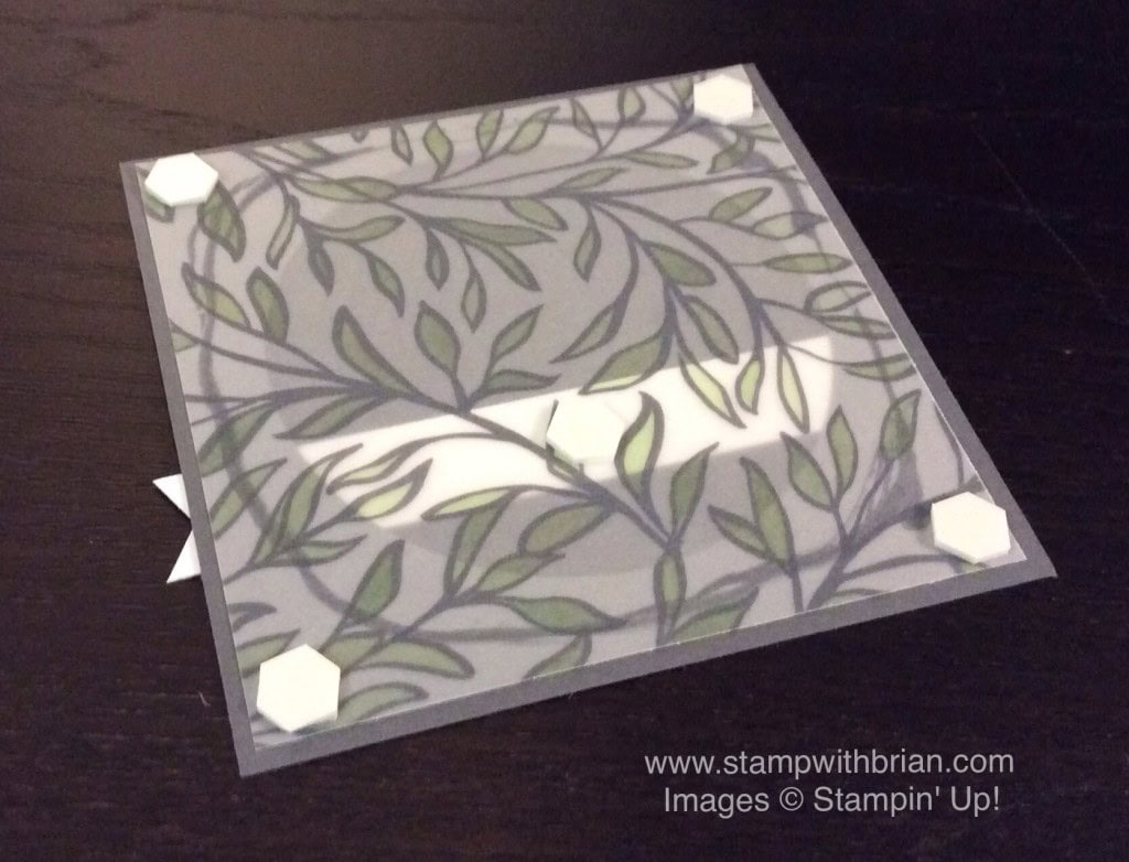 Tips for using vellum, Sheer Perfection Designer Vellum Stack, Stampin' Up!, Brian King