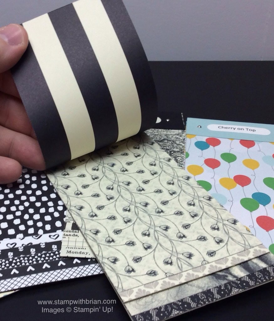 Designer Series Paper Swatch Books, Stampin' Up!, Brian King Designer Series Paper Swatch Books, Stampin' Up!, Brian King
