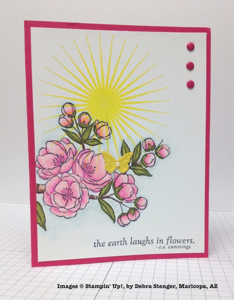 Debra Stenger, card swap, Stampin' Up!