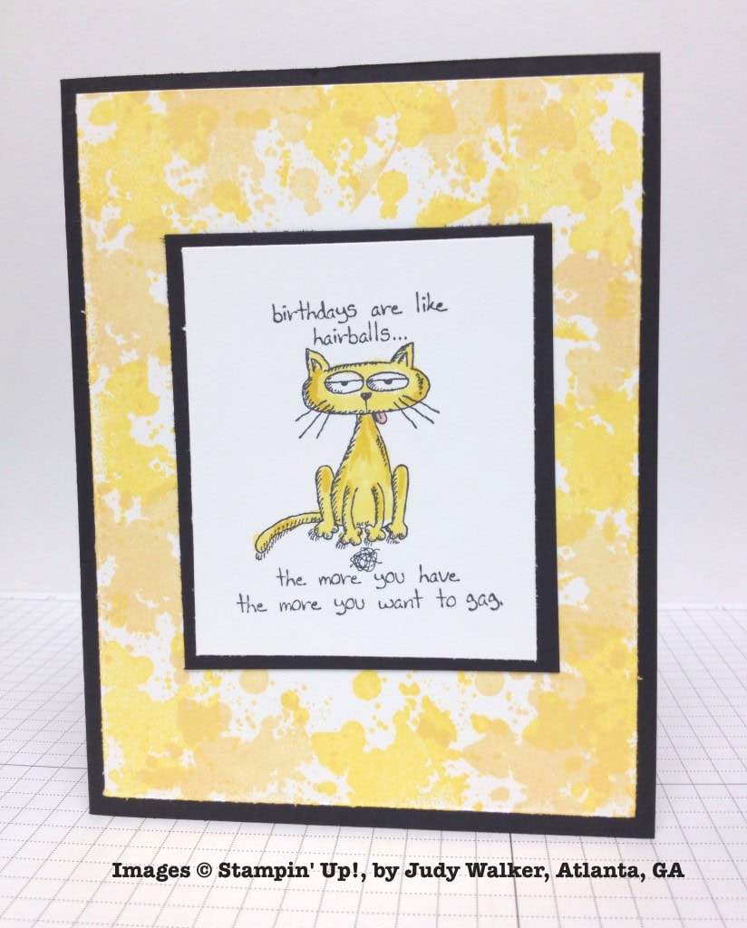 Judy Walker, card swap, Stampin' Up!