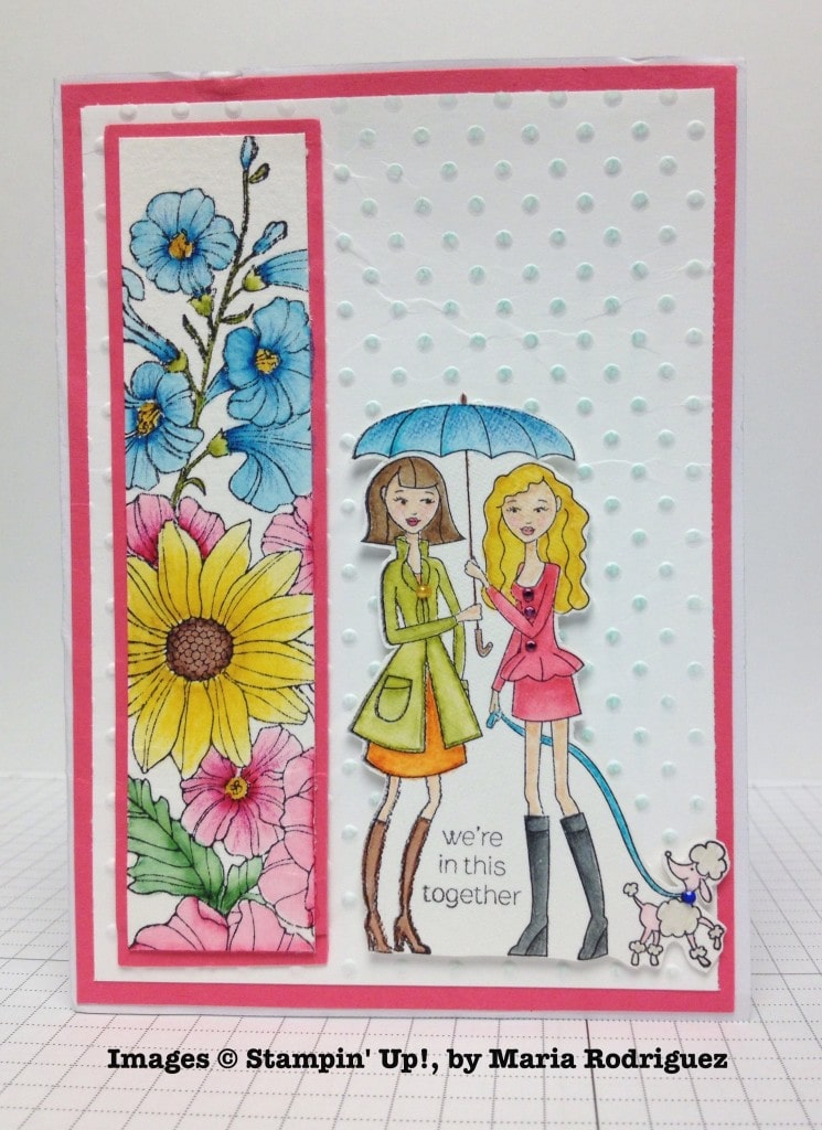Maria Rodriguez, card swap, Stampin' Up!