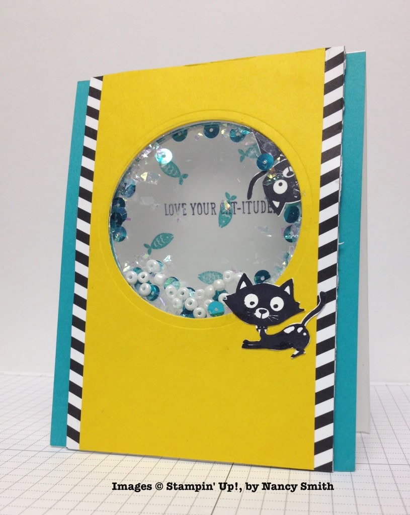 Nancy Smith, card swap, Stampin' Up!