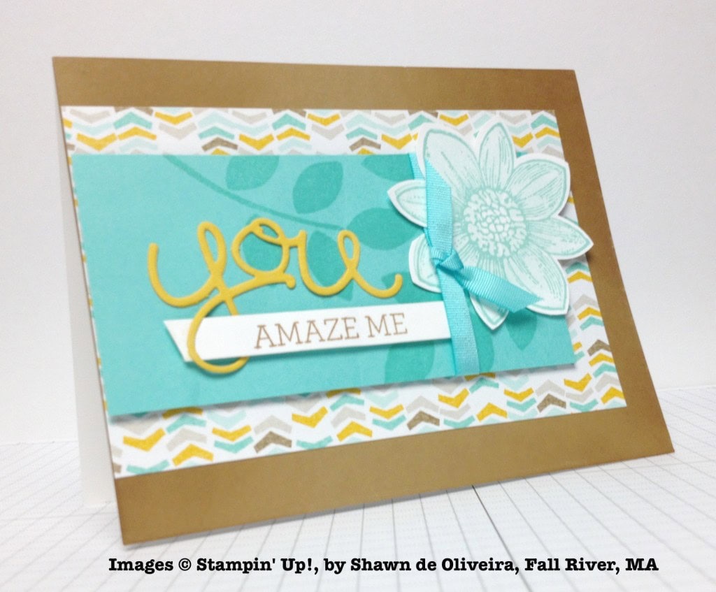 Shawn de Oliviera, card swap, Stampin' Up!