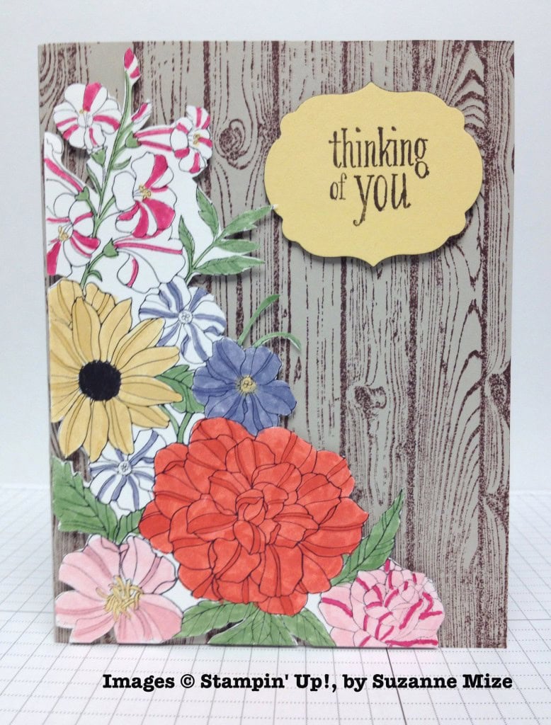 Suzanne Mize, card swap, Stampin' Up!
