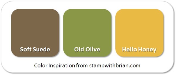 Stampin' Up! Color Inspiration: Soft Suede, Old Olive, Hello Honey Stampin' Up! Color Inspiration: Soft Suede, Old Olive, Hello Honey