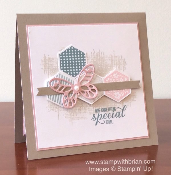 Six-Sided Sampler, You've Got This, Garden in Bloom, Stampin' Up!, Brian King, CASE from 2015-2016 Annual Catalog