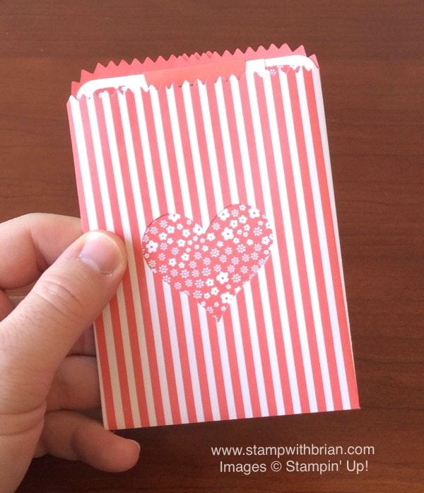 Words of Truth, Mini Treat Bag Thinlits, Stampin' Up!, Brian King