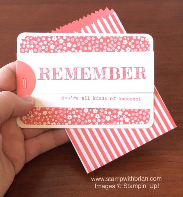 Words of Truth, Mini Treat Bag Thinlits, Stampin' Up!, Brian King