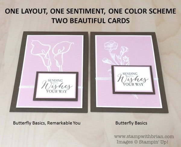 Butterfly Basics, Remarkable You, Stampin' Up!, Brian King, FMS194
