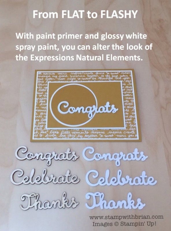 Converting Expressions Natural Elements from Flat to Flashy, Stampin' Up!, Brian King Converting Expressions Natural Elements from Flat to Flashy, Stampin' Up!, Brian King