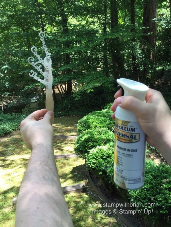 Converting Expressions Natural Elements from Flat to Flashy, Stampin' Up!, Brian King Converting Expressions Natural Elements from Flat to Flashy, Stampin' Up!, Brian King