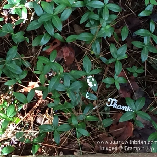 Converting Expressions Natural Elements from Flat to Flashy, Stampin' Up!, Brian King Converting Expressions Natural Elements from Flat to Flashy, Stampin' Up!, Brian King