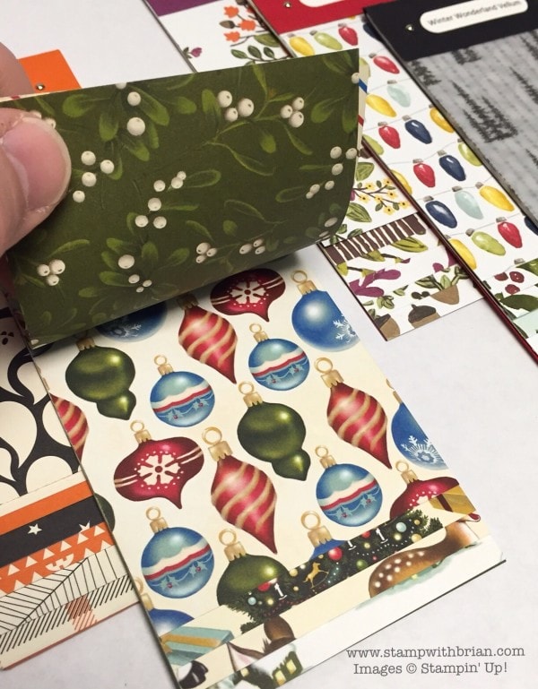 Designer Series Paper Swatch Books, Stampin' Up!, Brian King
