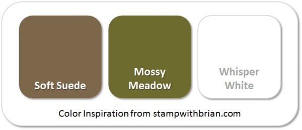 Stampin' Up! Color Inspiration: Soft Suede, Mossy Meadow, Whisper White Stampin' Up! Color Inspiration: Soft Suede, Mossy Meadow, Whisper White