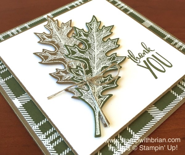 Vintage Leaves, Happy Happenings, Stampin' Up!, Brian King, PPA268 Vintage Leaves, Happy Happenings, Stampin' Up!, Brian King, PPA268