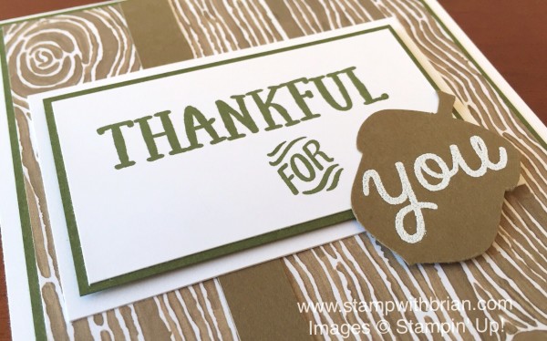 Thankful Forest Friends, Stampin' Up!, Brian King, FMS208