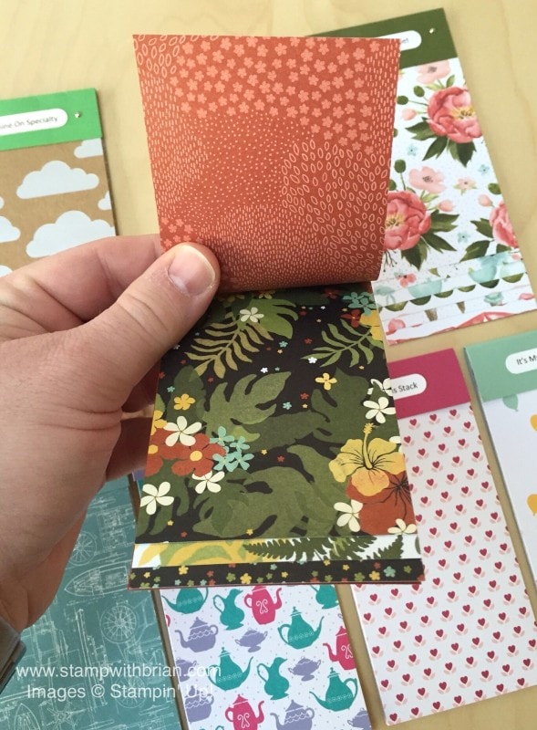 2016 Occasions Catalog Swatch Books with Labels, Stampin' Up!, Brian King