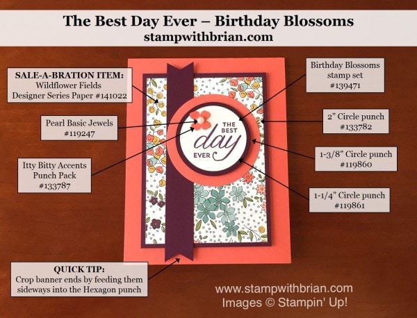 Birthday Blossoms, Wildflower Fields Designer Series Paper, Stampin' Up!, Brian King, PPA288 Birthday Blossoms, Wildflower Fields Designer Series Paper, Stampin' Up!, Brian King, PPA288