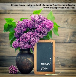 Stampin' Up!, Brian King