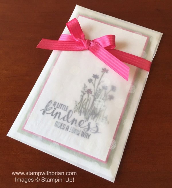 Sketched Dots Tag a Bag Gift Bag, Kinda Eclectic, In the Meadow, Stampin' Up!, Brian King, clean and simple thank you card Sketched Dots Tag a Bag Gift Bag, Kinda Eclectic, In the Meadow, Stampin' Up!, Brian King, clean and simple thank you card