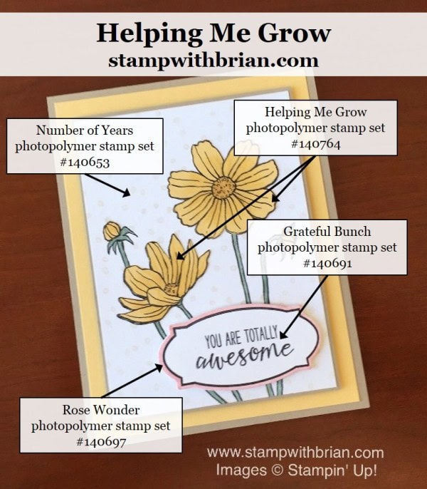 Helping Me Grow, Grateful Bunch, Rose Wonder, Number of Years, Stampin' Up!, Brian King, PPA293 Helping Me Grow, Grateful Bunch, Rose Wonder, Number of Years, Stampin' Up!, Brian King, PPA293
