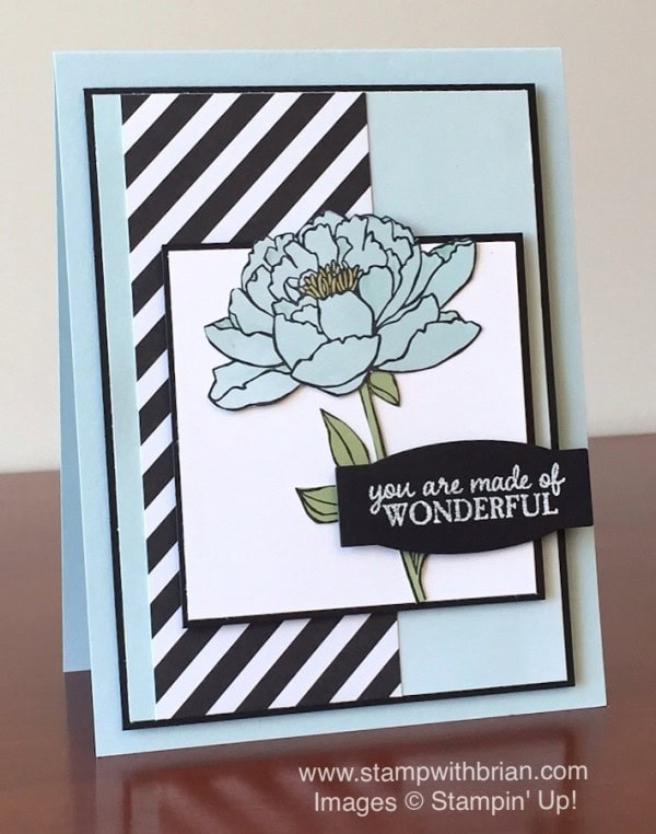 You've Got This, Picture Perfect, Stampin' Up!, Brian King, PPA290 You've Got This, Picture Perfect, Stampin' Up!, Brian King, PPA290