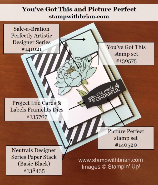 You've Got This, Picture Perfect, Stampin' Up!, Brian King, PPA290 You've Got This, Picture Perfect, Stampin' Up!, Brian King, PPA290
