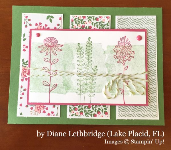Diane Lethbridge, Lake Placid FL, Stampin' Up!, card swap Diane Lethbridge, Lake Placid FL, Stampin' Up!, card swap