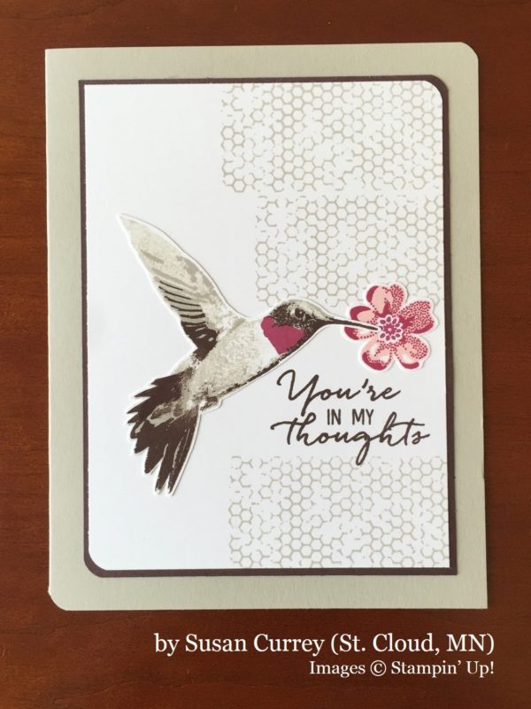 Susan Currey, St Cloud MN, Stampin' Up!, card swap Susan Currey, St Cloud MN, Stampin' Up!, card swap