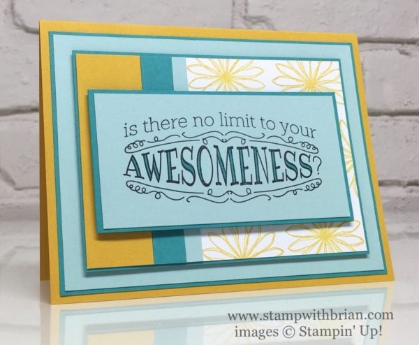Big News, Perfectly Wrapped, Stampin' Up!, Brian King, PPA301 Big News, Perfectly Wrapped, Stampin' Up!, Brian King, PPA301