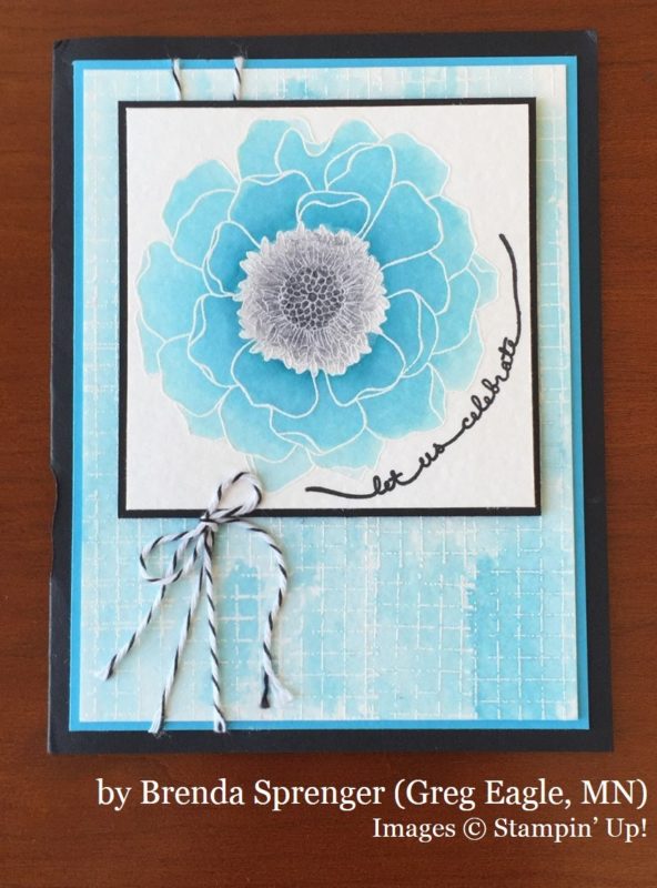 Brenda Sprenger, Greg Eagle MN, Stampin' Up!, card swap Brenda Sprenger, Greg Eagle MN, Stampin' Up!, card swap