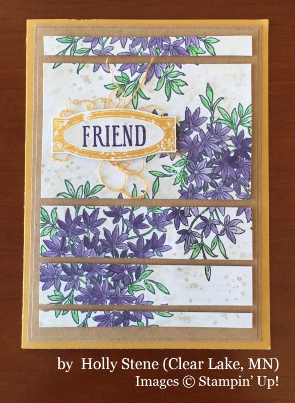 Holly Stene, Clear Lake MN, Stampin' Up!, card swap Holly Stene, Clear Lake MN, Stampin' Up!, card swap