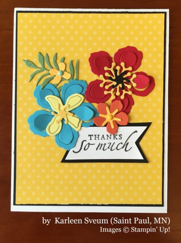 Karleen Sveum, Saint Paul MN, Stampin' Up!, card swap Karleen Sveum, Saint Paul MN, Stampin' Up!, card swap