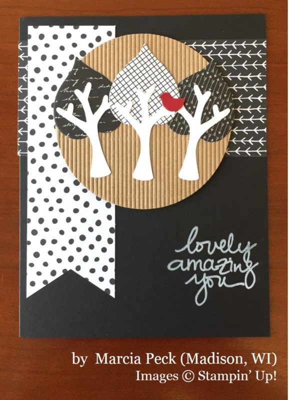 Marcia Peck, Madison WI, Stampin' Up!, card swap Marcia Peck, Madison WI, Stampin' Up!, card swap
