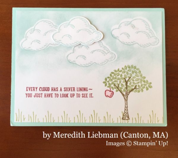 Meredith Liebman, Canton MA, Stampin' Up!, card swap Meredith Liebman, Canton MA, Stampin' Up!, card swap