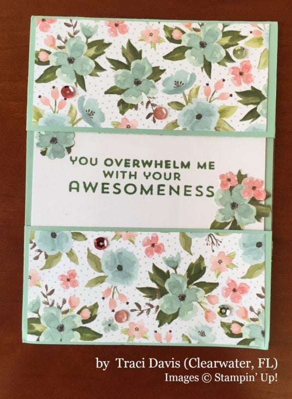 Traci Davis, Clearwater FL, Stampin' Up!, card swap Traci Davis, Clearwater FL, Stampin' Up!, card swap