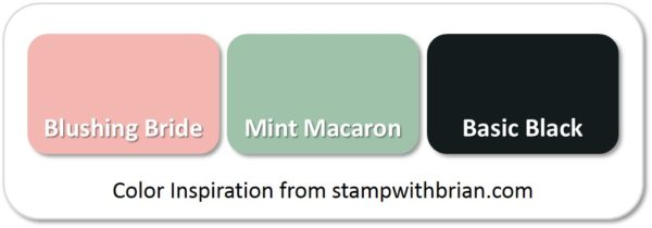 Stampin' Up! Color Inspiration: Blushing Bride, Mint Macaron, Basic Black Stampin' Up! Color Inspiration: Blushing Bride, Mint Macaron, Basic Black
